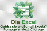 olaexcel szkolenia excel